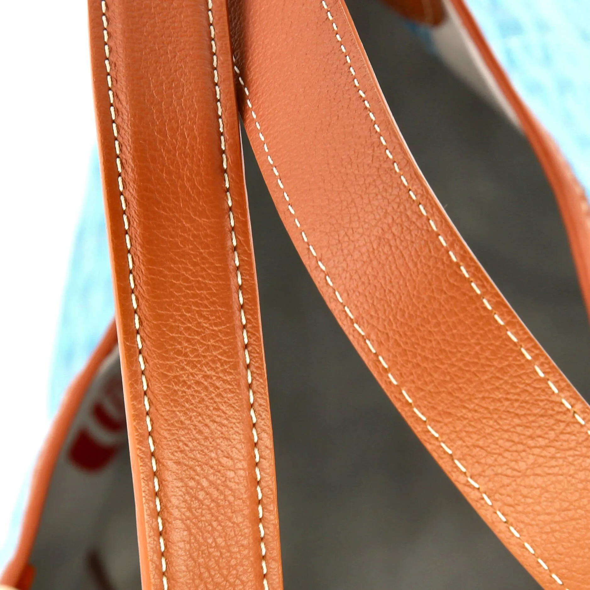 Belharra Reversible Tote Coated Canvas