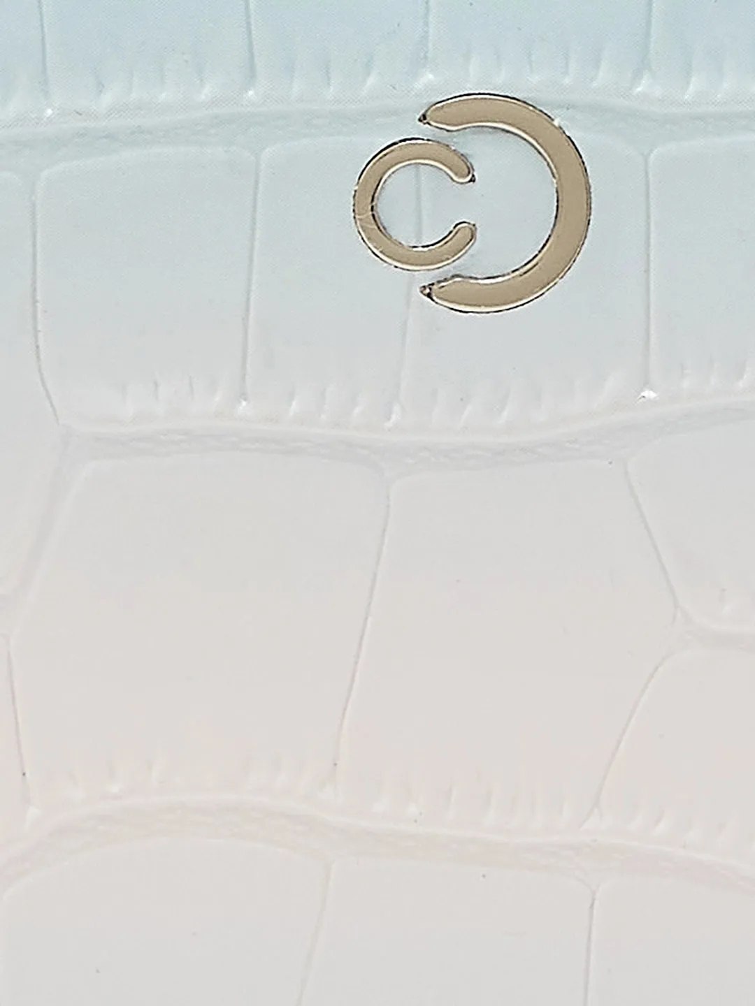 Caprese Eva Large Aqua Zip Around Wallet