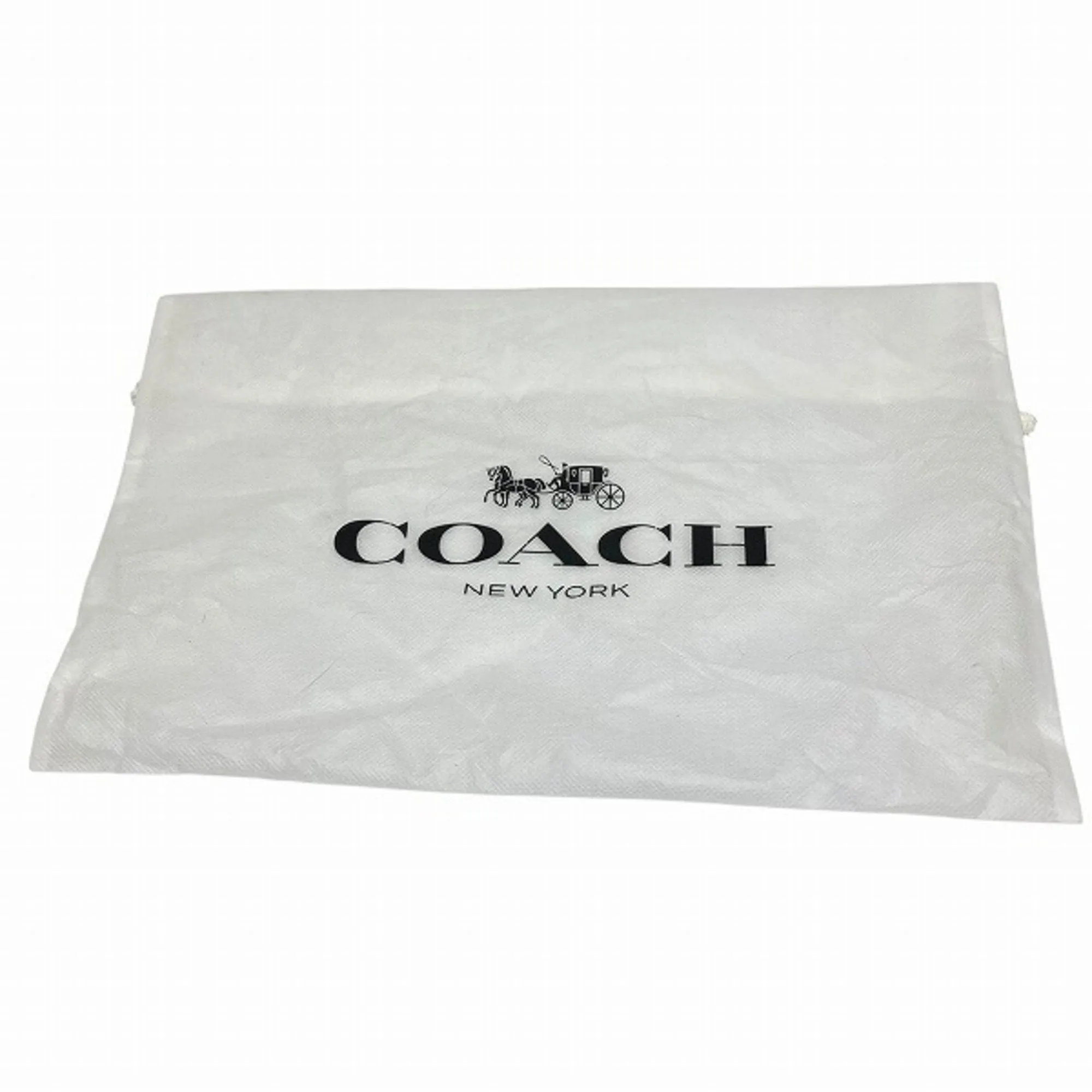 Coach Leather Backpack (Pre-Owned)
