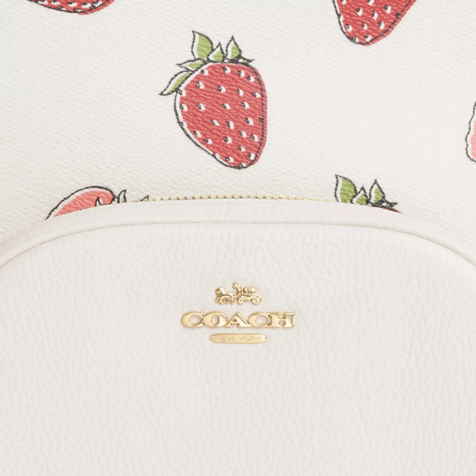 Coach Outlet Court Backpack With Strawberry Print