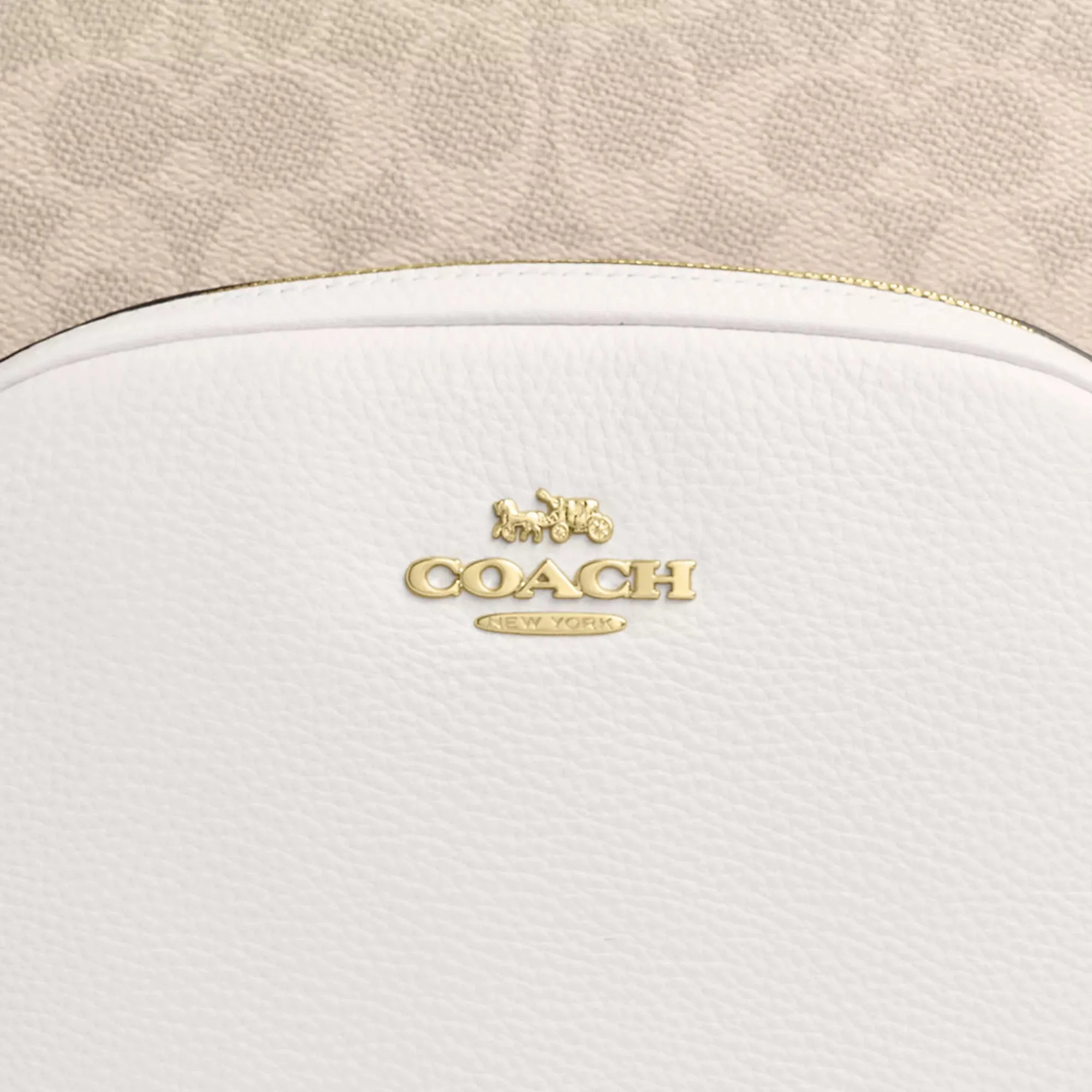 Coach Outlet Large Court Backpack In Signature Canvas