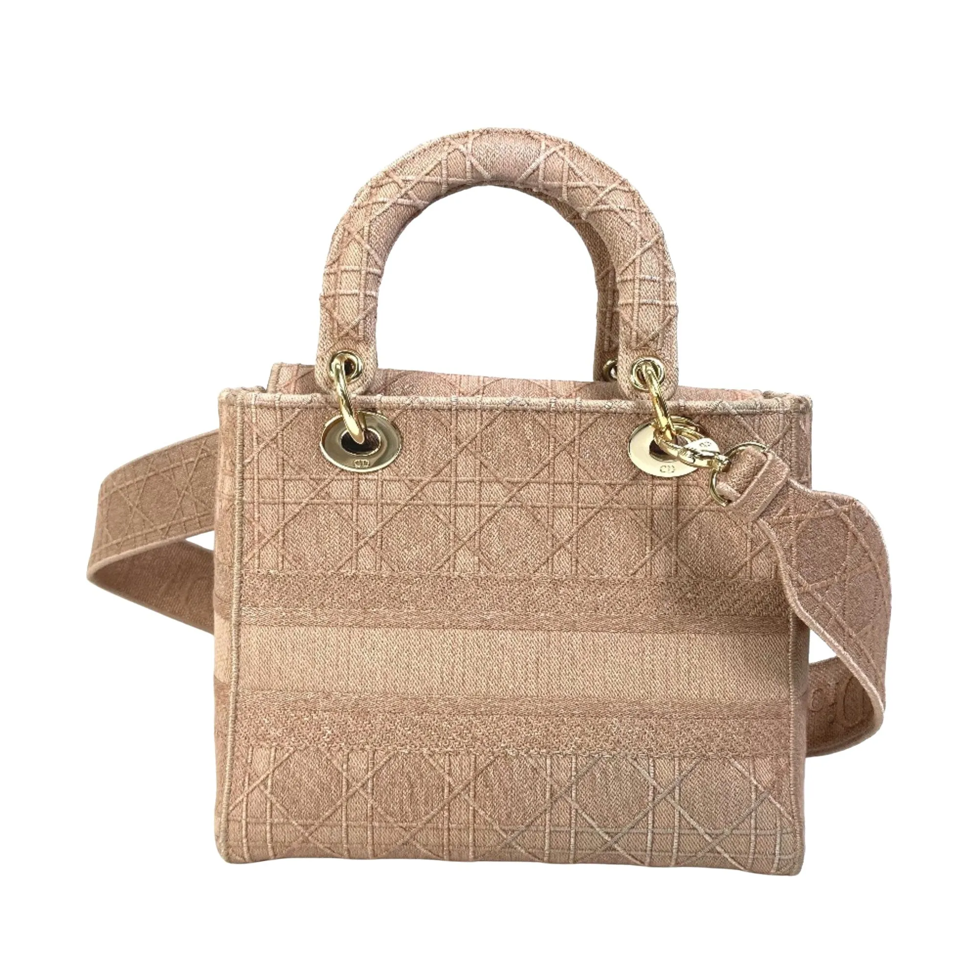 Dior Lady D- Cloth Handbag (Pre-Owned)