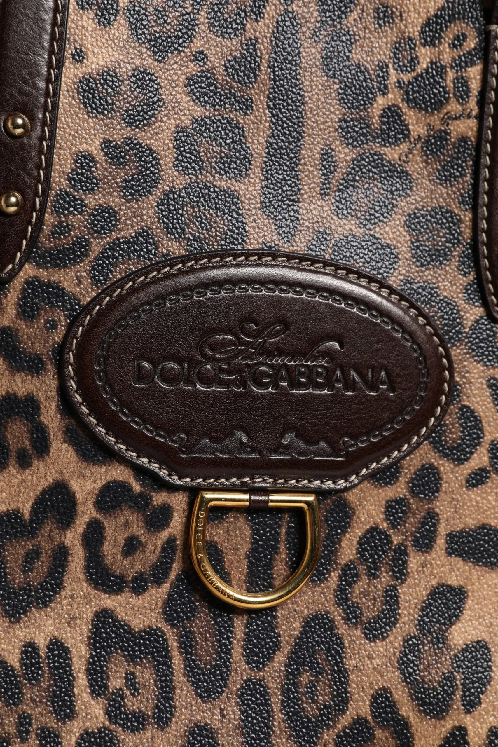 Dolce & Gabbana Leopard Leather Shoulder Strap Tote Women's Bag