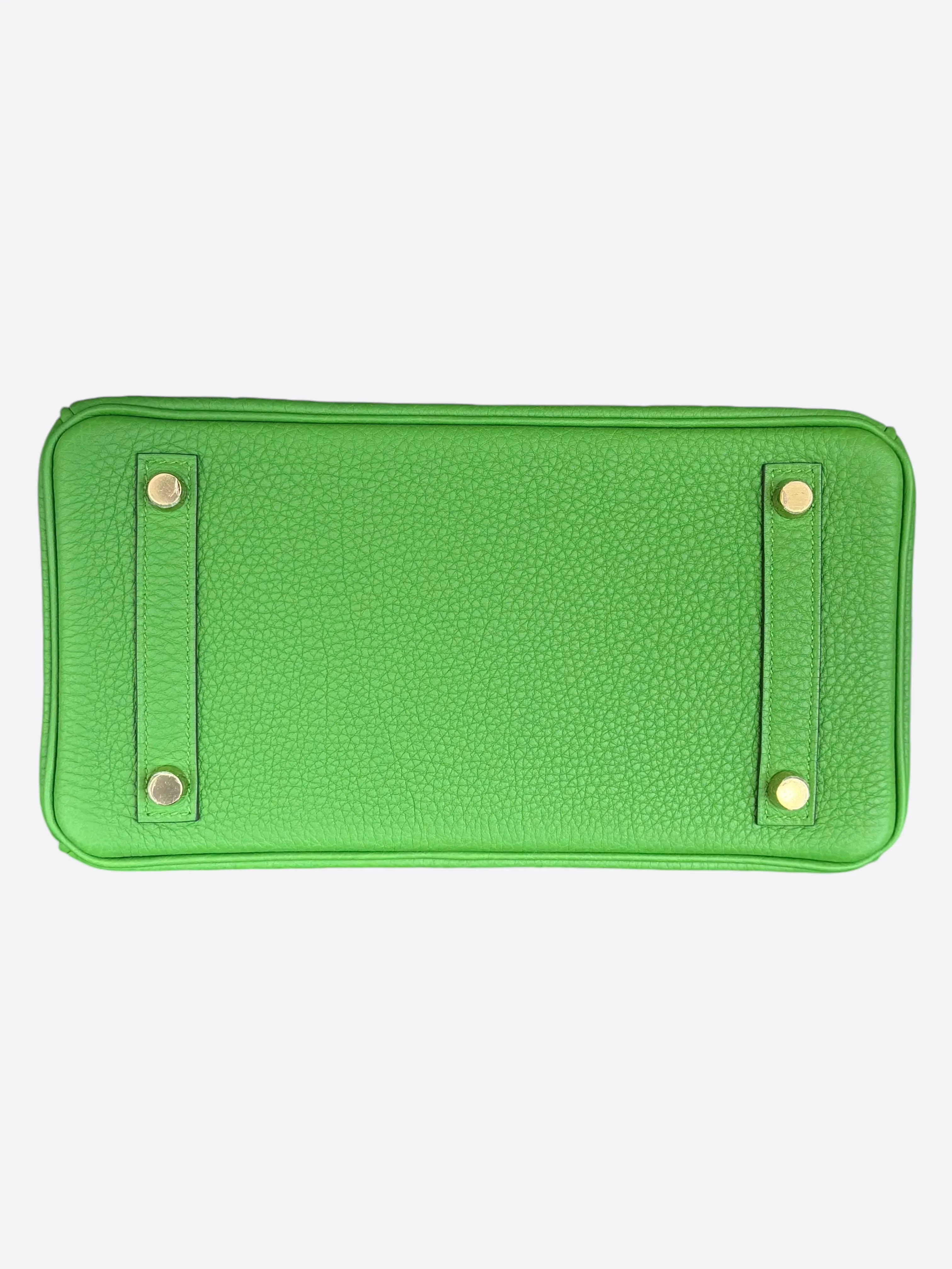 Hermes Vert Yucca Togo Birkin 25