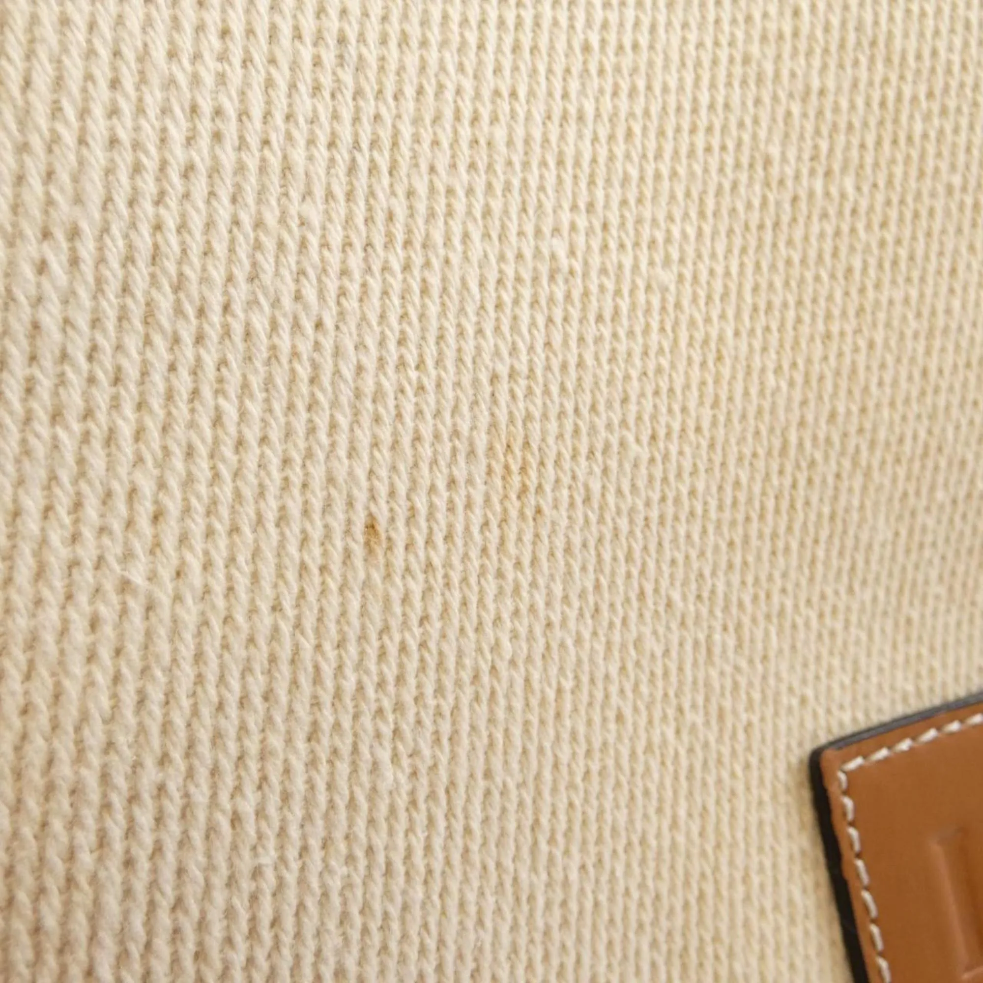 Loewe Canvas Leather Handbag (Pre-Owned)