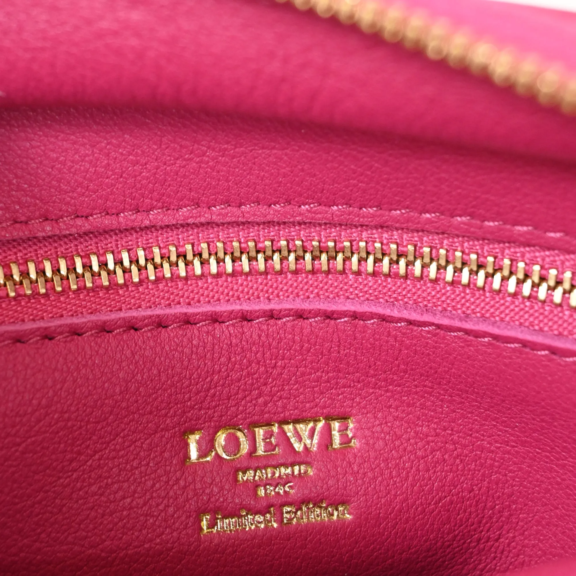 Loewe Three Tone Amazona Bag in Pink Suede