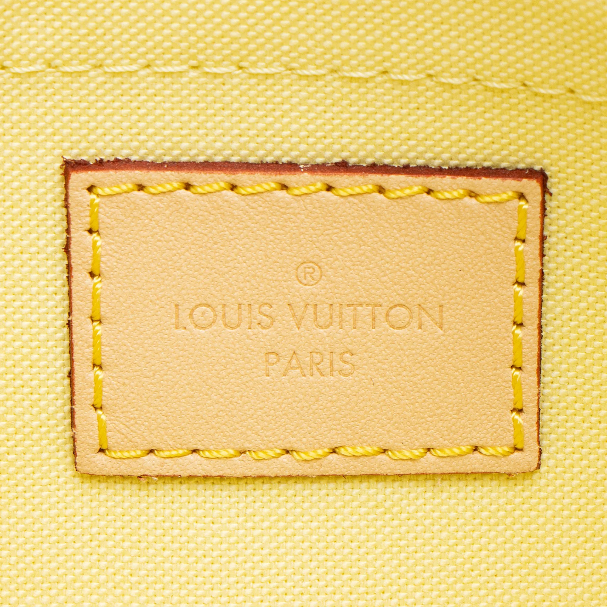 Louis Vuittom Damierlicious Neverfull MM Pochette