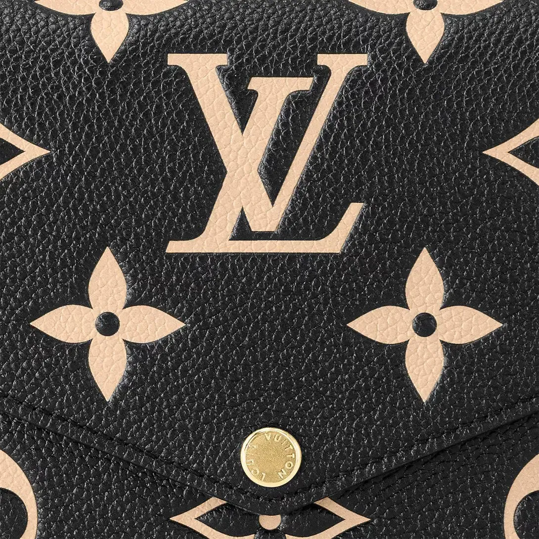 Louis Vuitton Bicolor Monogram 80482
