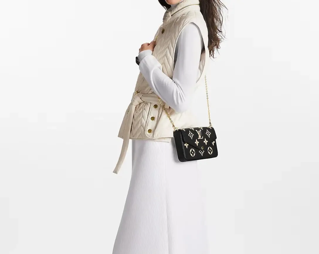 Louis Vuitton Bicolor Monogram 80482