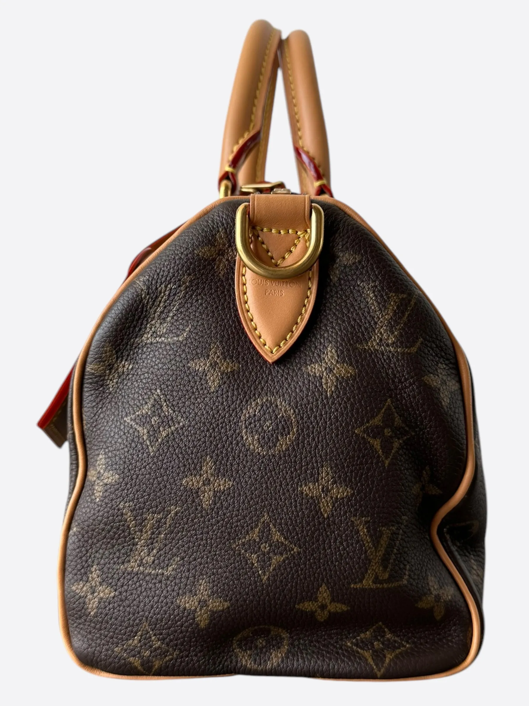 Louis Vuitton Brown Monogram P9 Speedy 25
