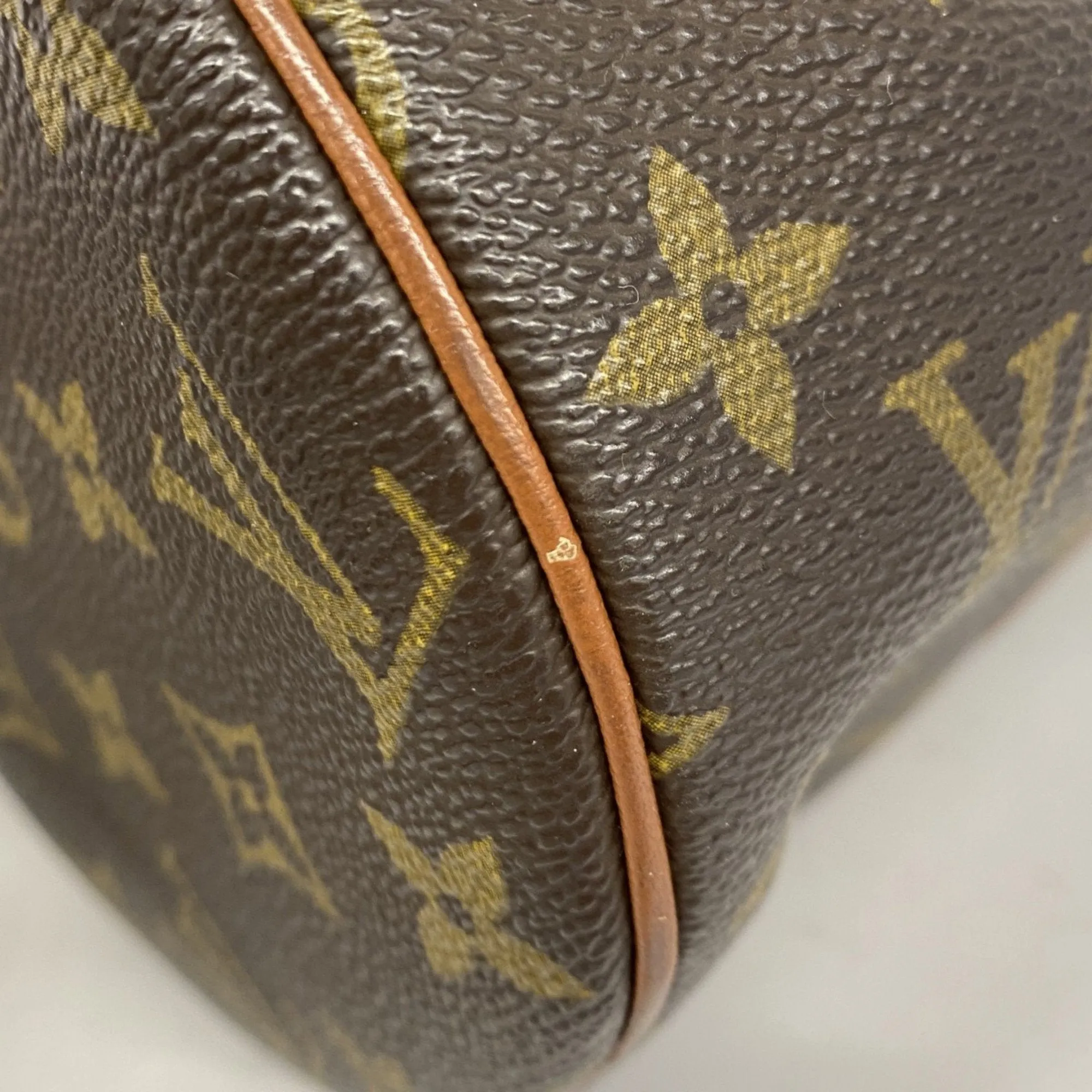 Louis Vuitton Handbag (Pre-Owned)