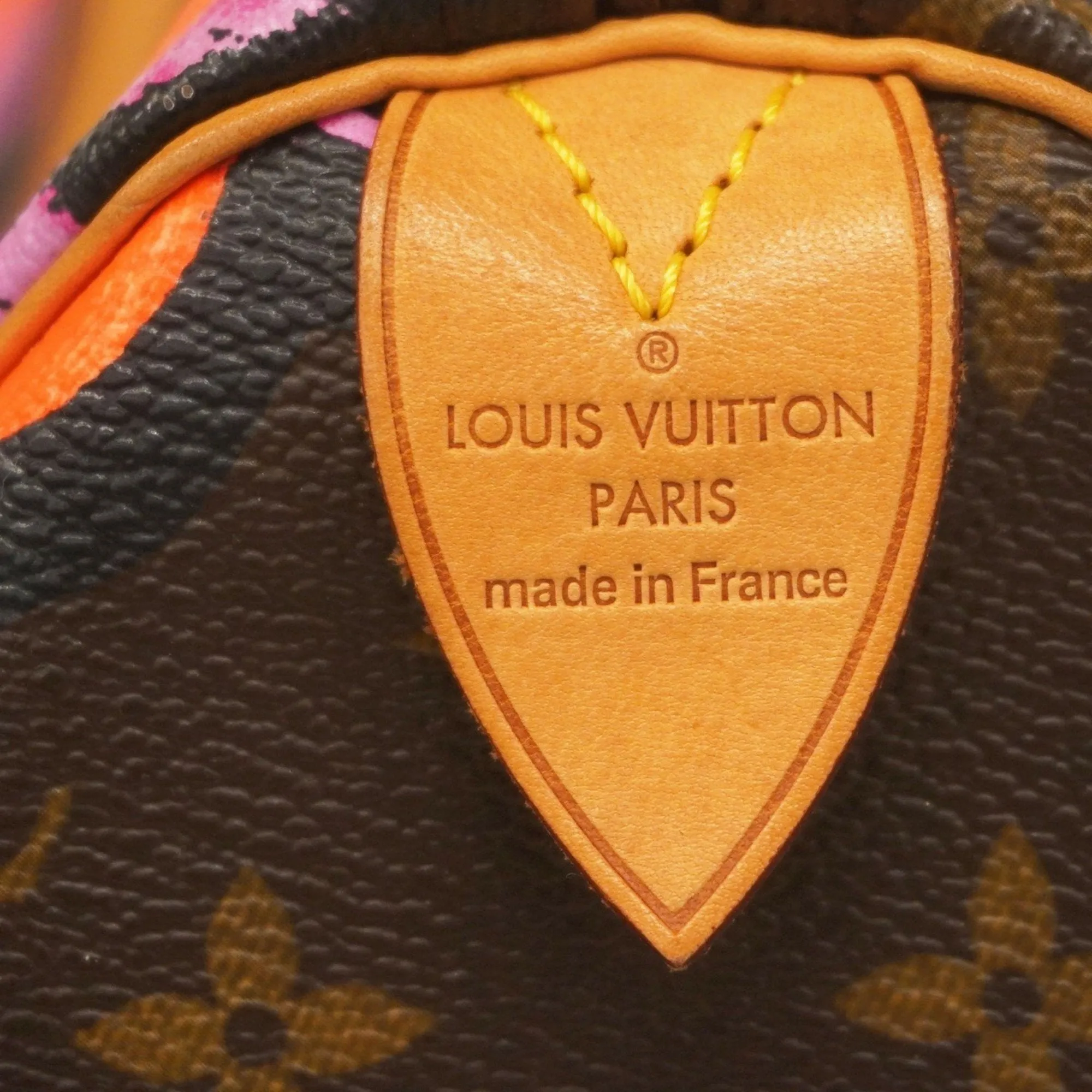 Louis Vuitton Handbag (Pre-Owned)
