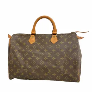 Louis Vuitton Handbag (Pre-Owned)