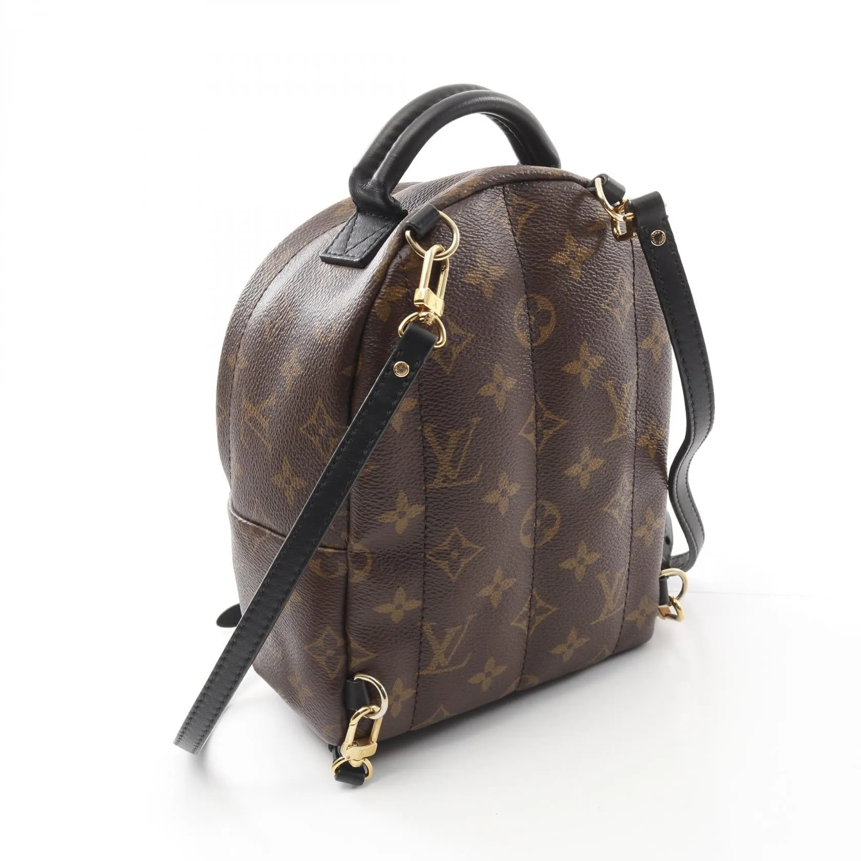 Louis Vuitton Monogram Palm Springs Mini Backpack