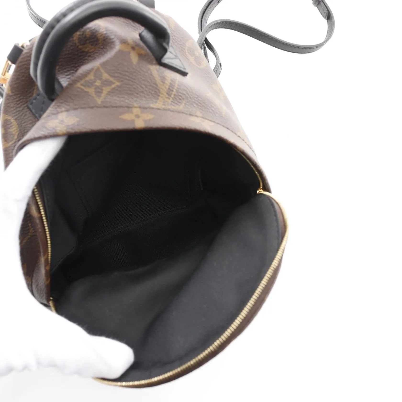 Louis Vuitton Monogram Palm Springs Mini Backpack