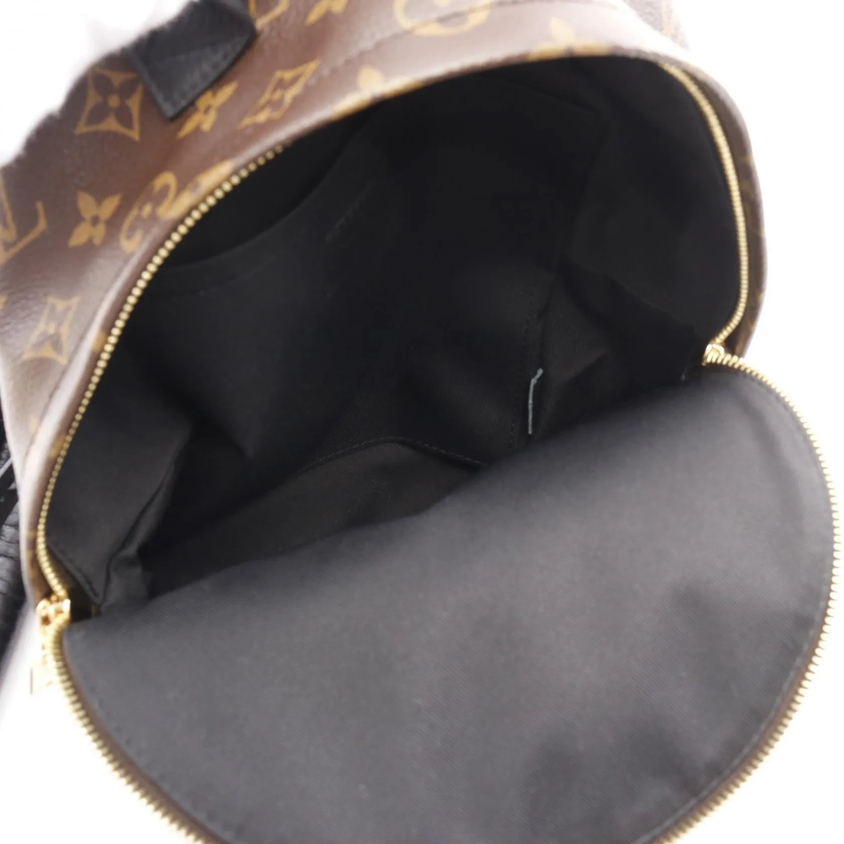 Louis Vuitton Palm Springs Backpack PM Monogram