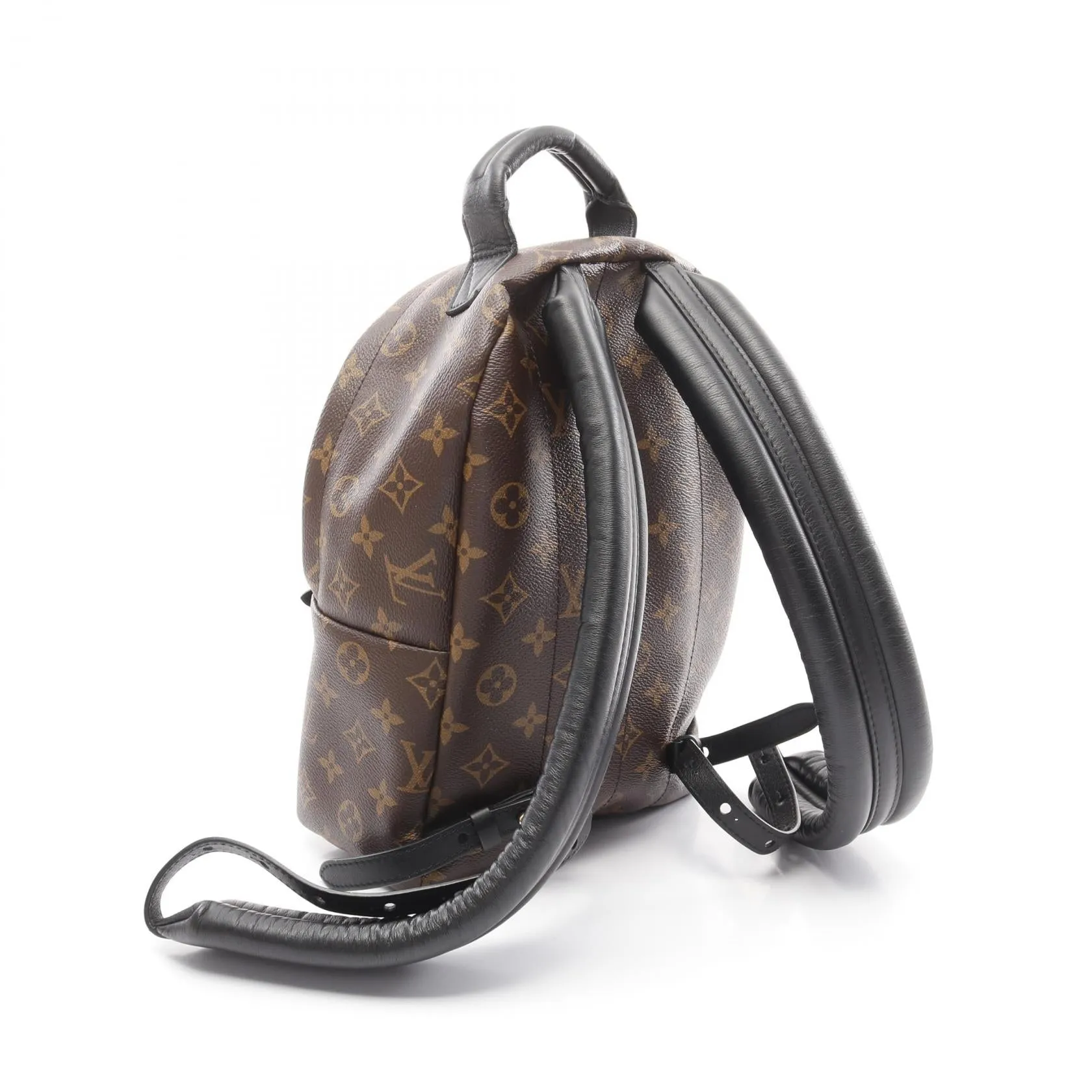 Louis Vuitton Palm Springs Backpack PM Monogram