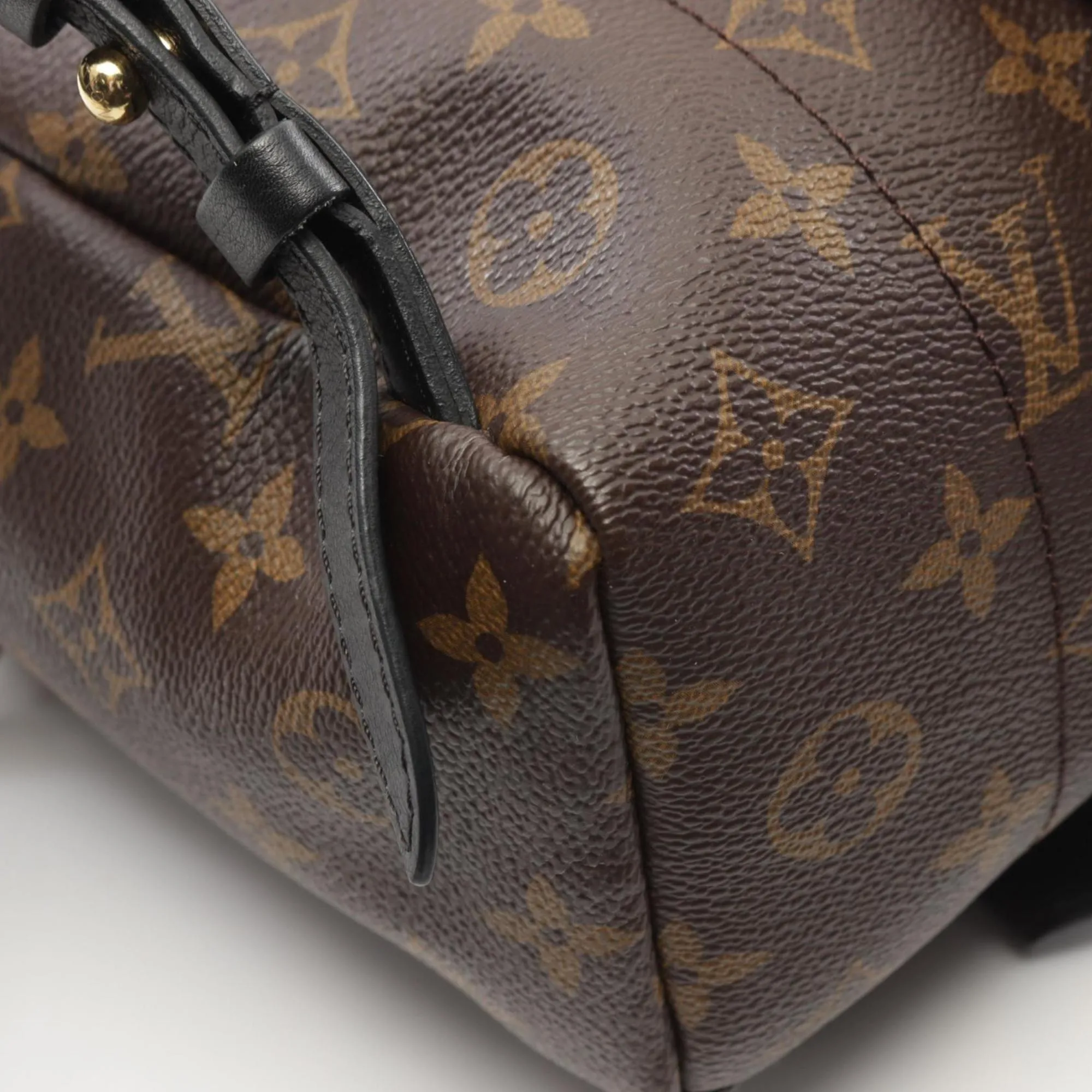 Louis Vuitton Palm Springs Canvas Backpack Bag (Pre-Owned)