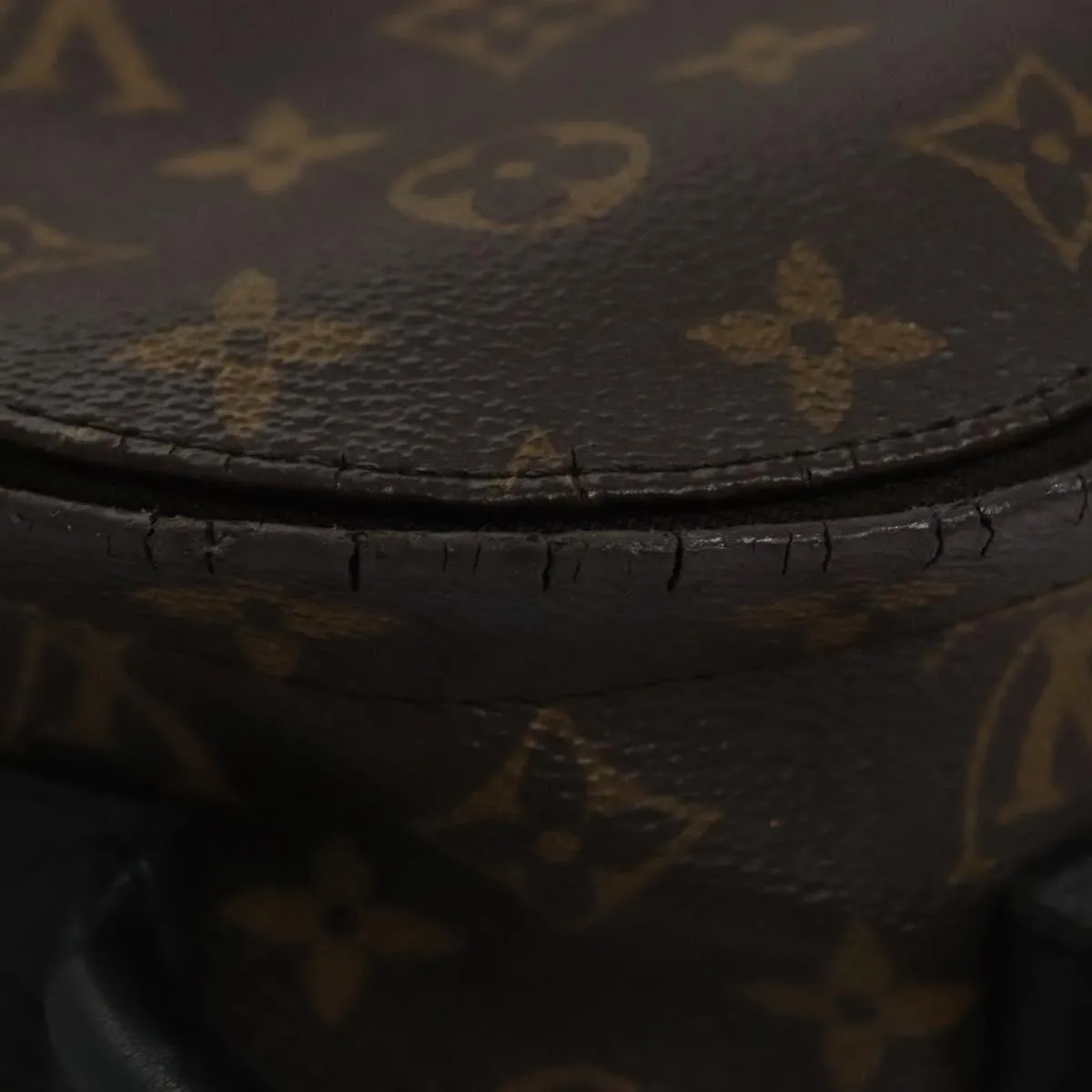 Louis Vuitton Palm Springs Mini Canvas Backpack Bag (Pre-Owned)