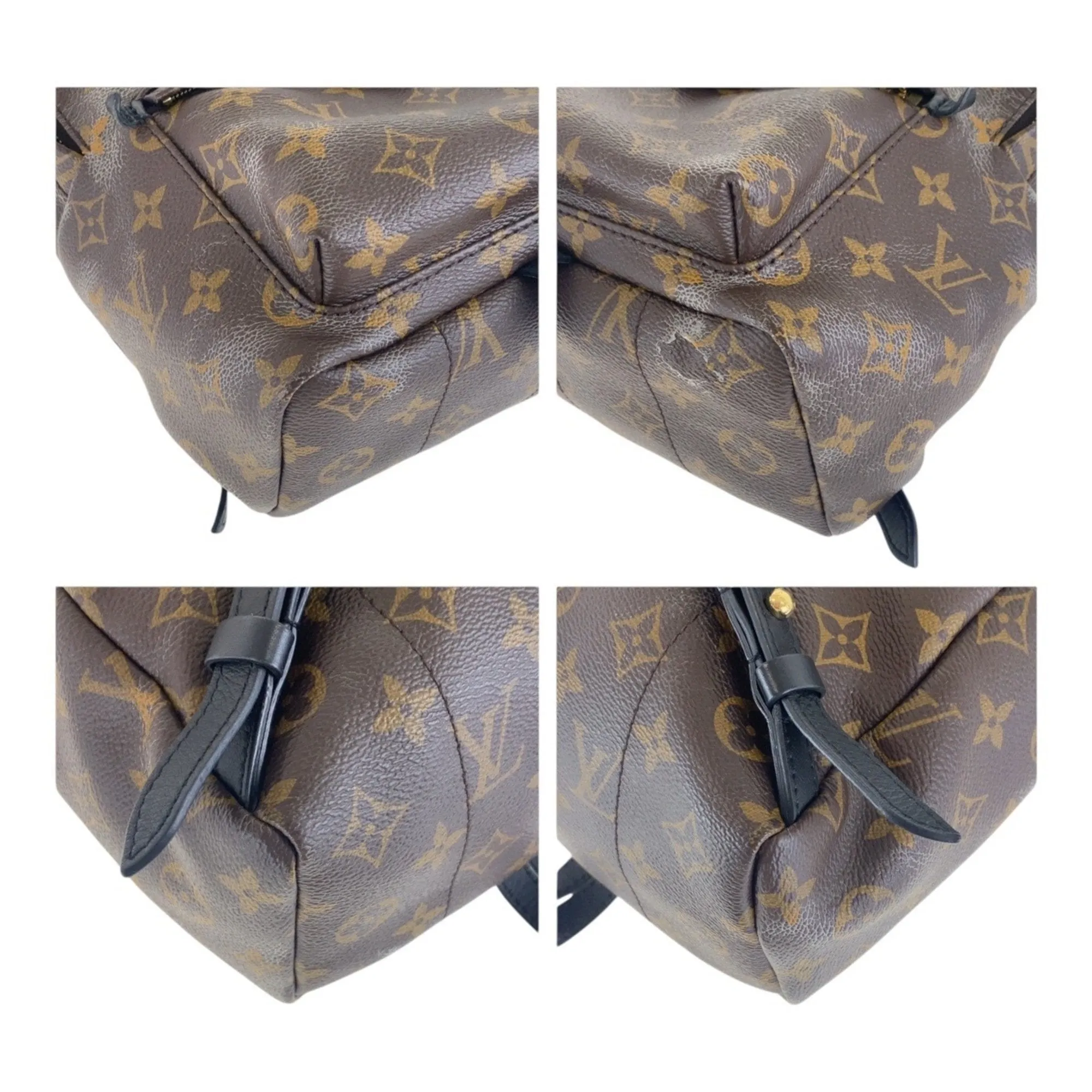 Louis Vuitton  Pvc Backpack (Pre-Owned)