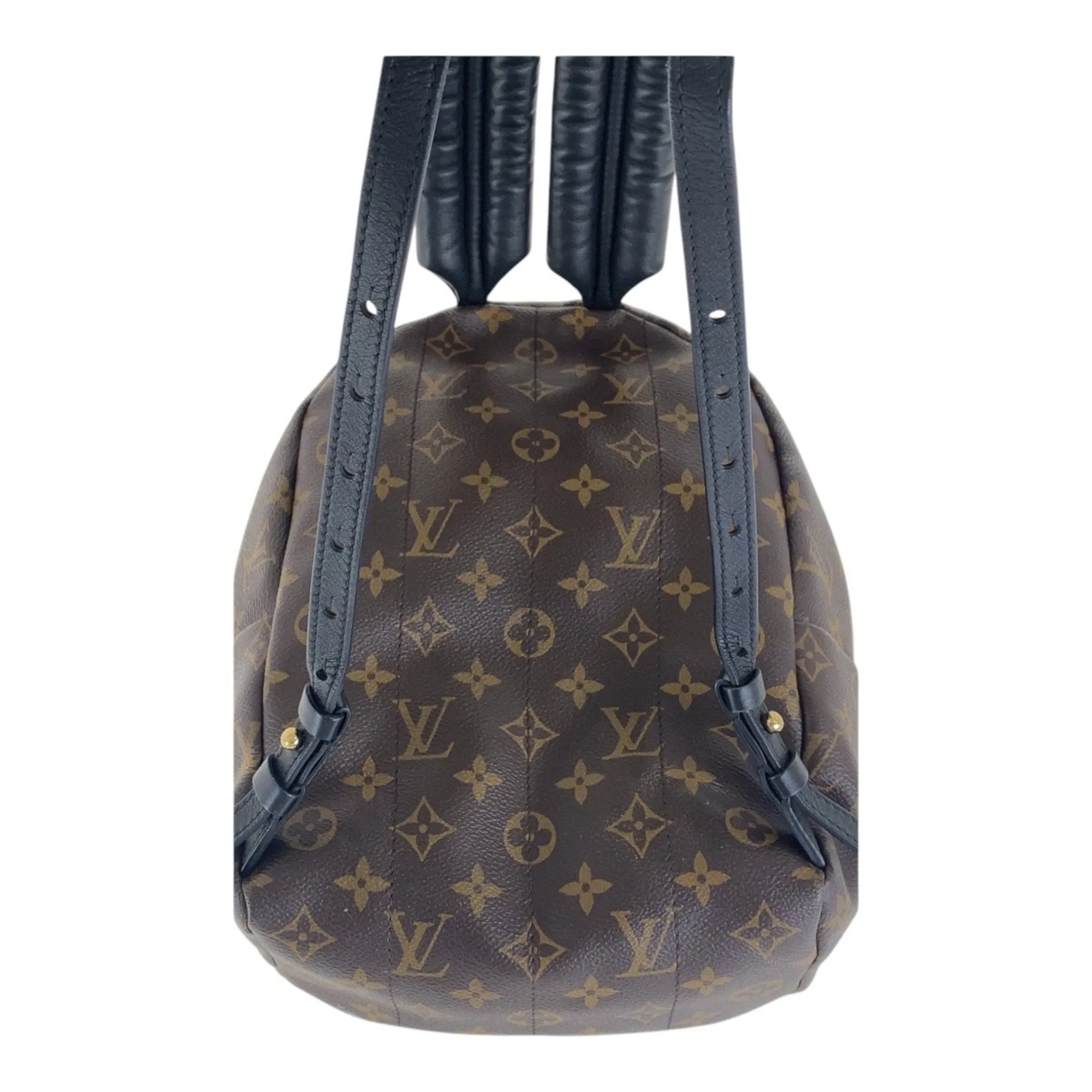Louis Vuitton  Pvc Backpack (Pre-Owned)
