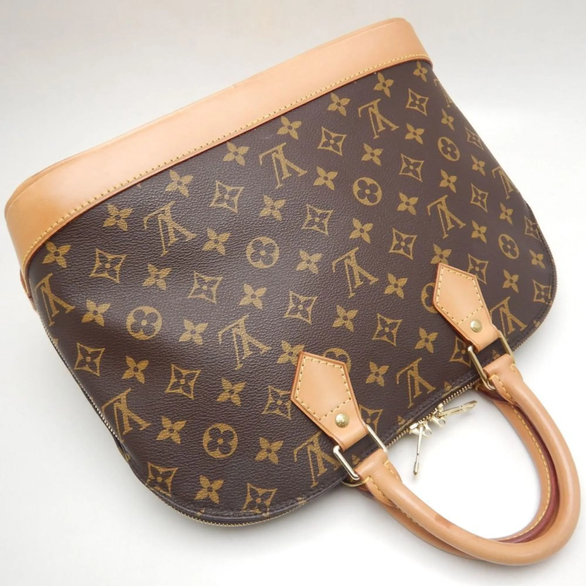 Louis Vuitton Pvc Handbag (Pre-Owned)