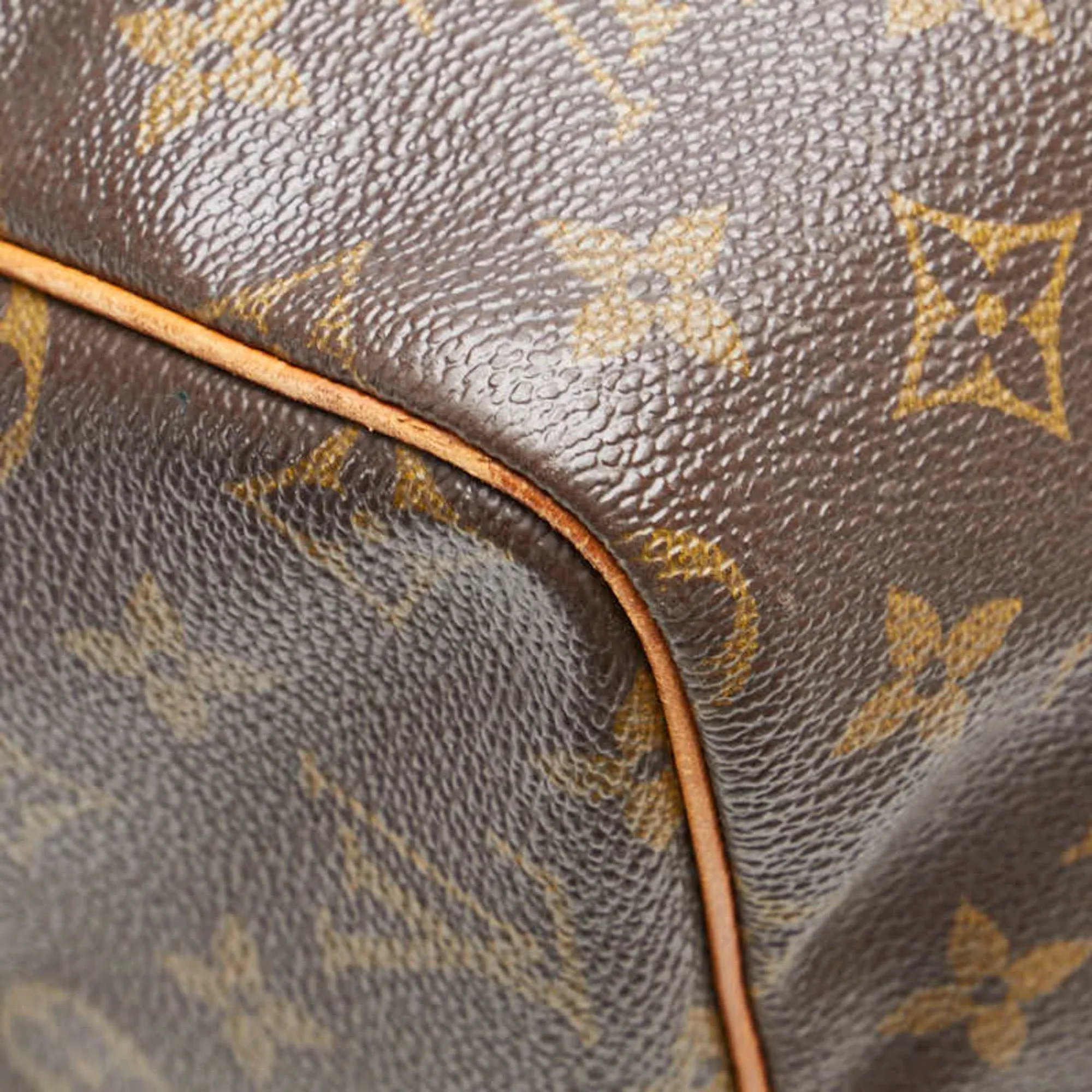 Louis Vuitton Pvc Leather Handbag (Pre-Owned)