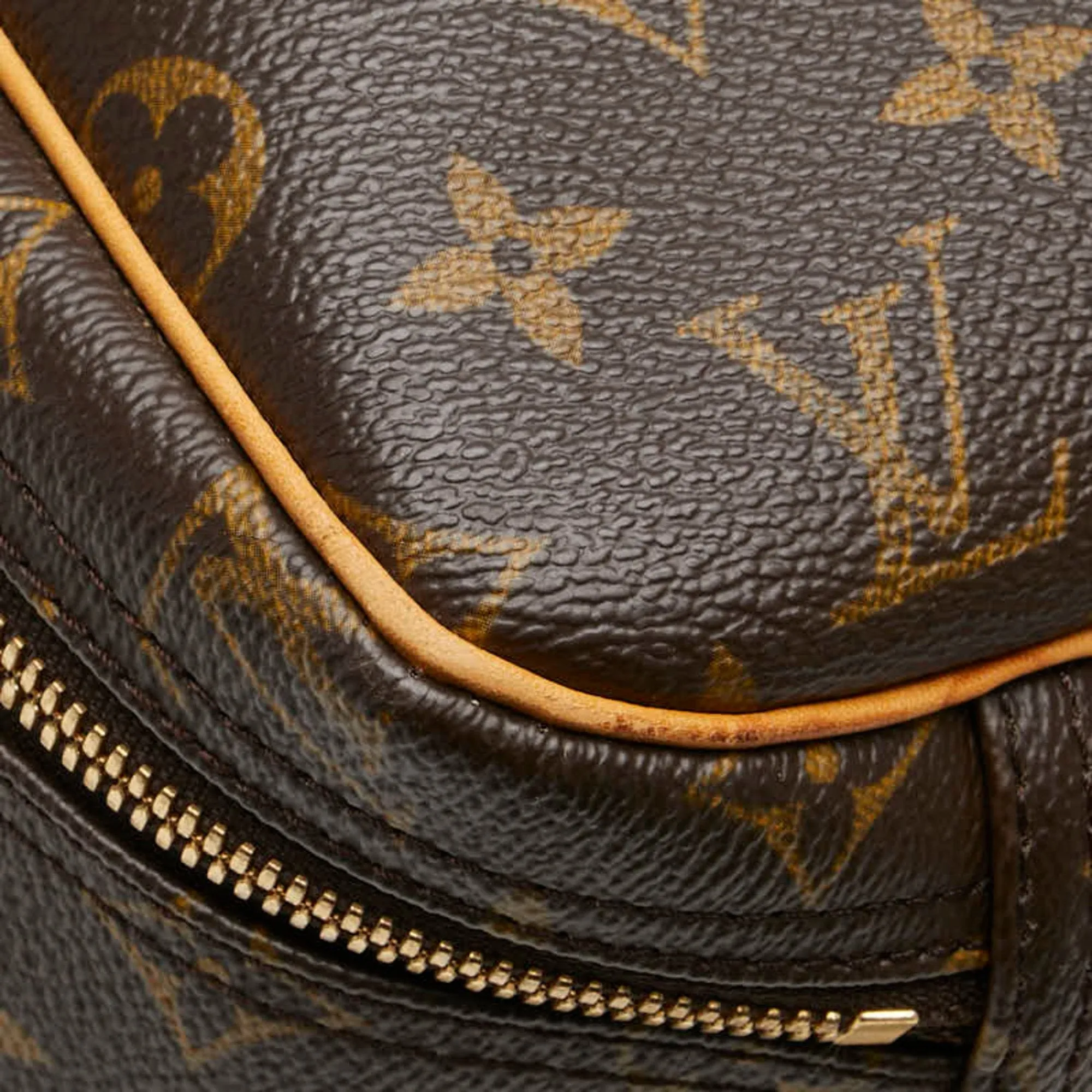 Louis Vuitton Pvc Leather Handbag (Pre-Owned)