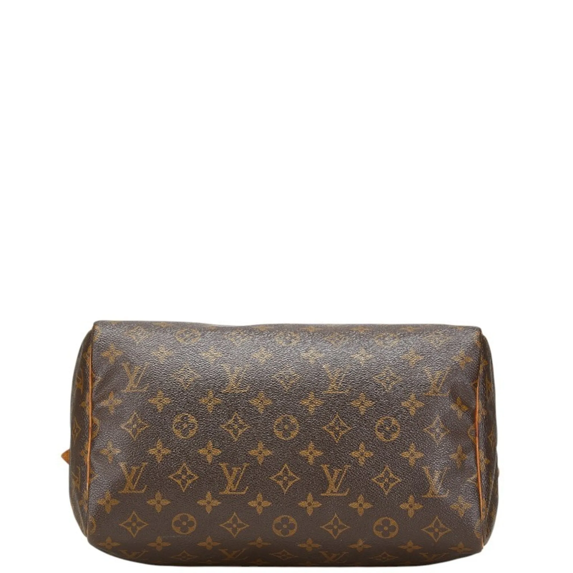Louis Vuitton Pvc Leather Handbag (Pre-Owned)