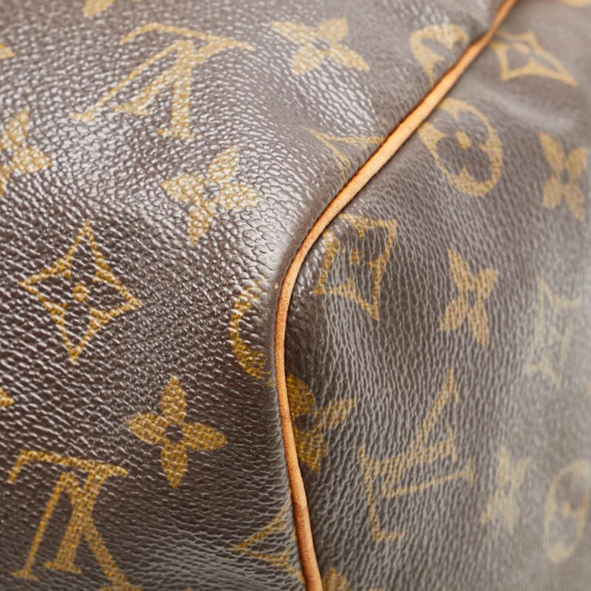 Louis Vuitton Pvc Leather Handbag (Pre-Owned)