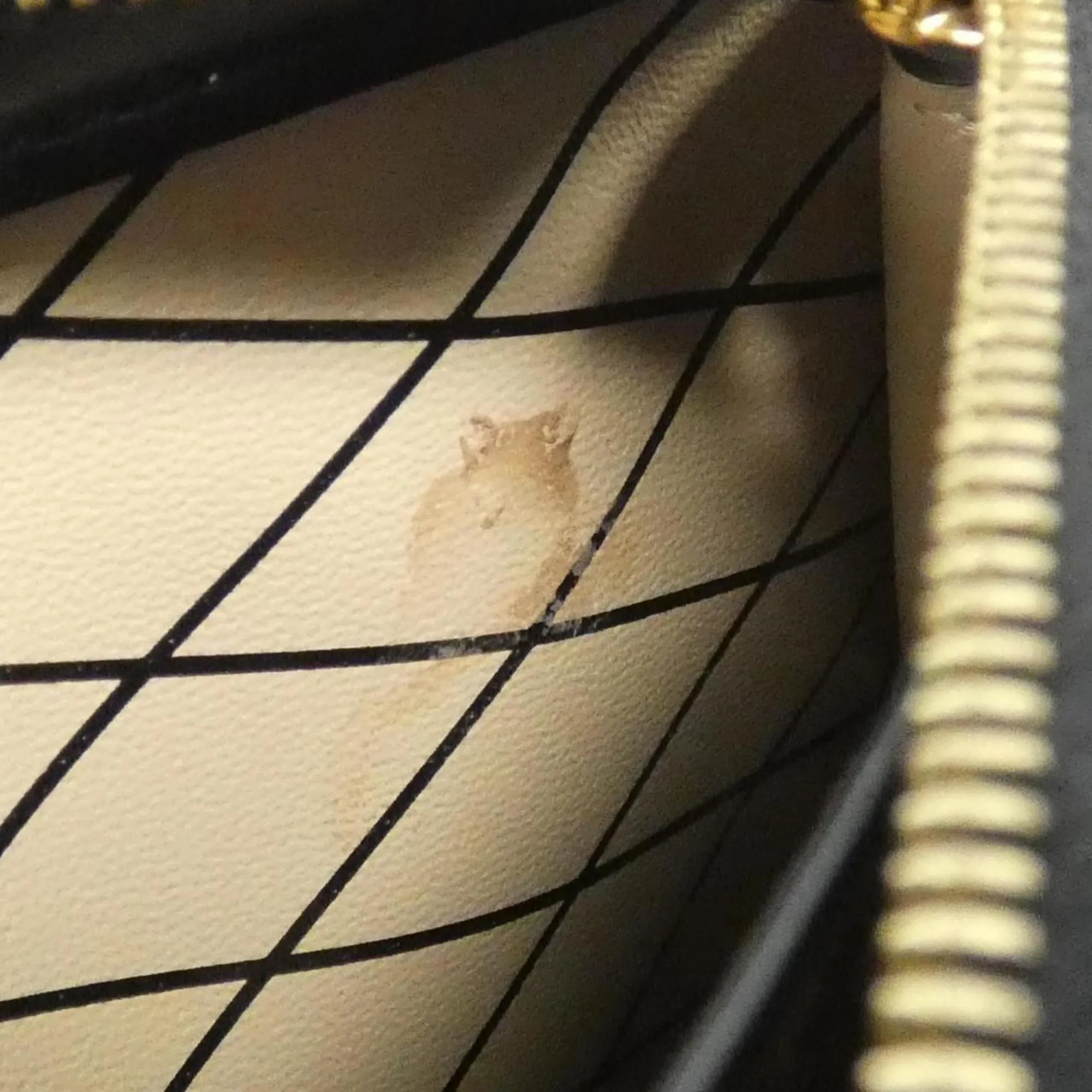 Louis Vuitton Trunk Canvas Clutch Bag (Pre-Owned)