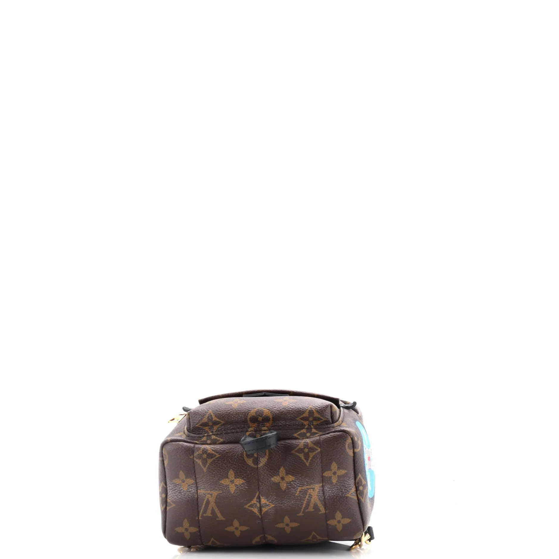 Palm Springs Backpack Limited Edition World Tour Monogram Canvas Mini