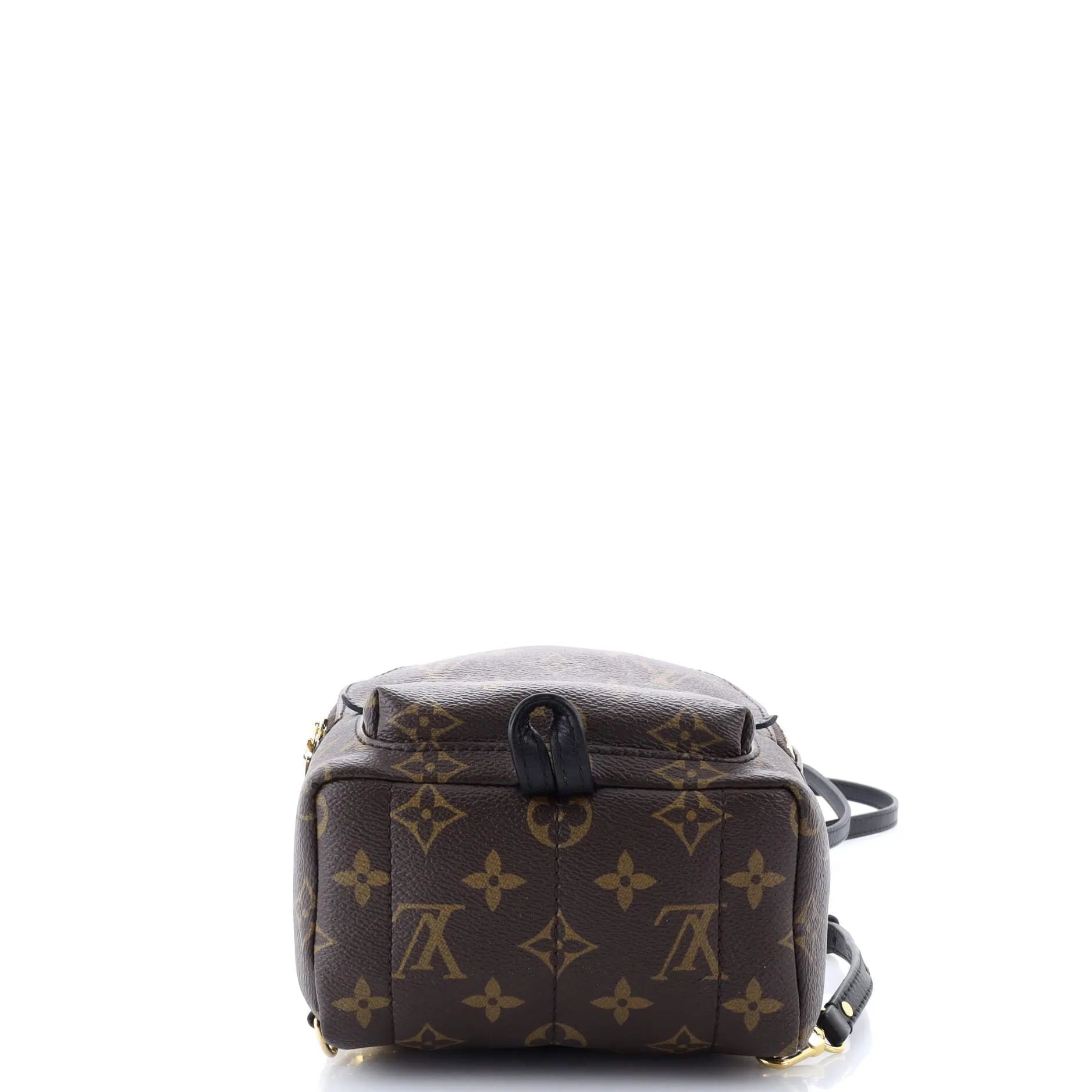 Palm Springs Backpack Monogram Canvas Mini