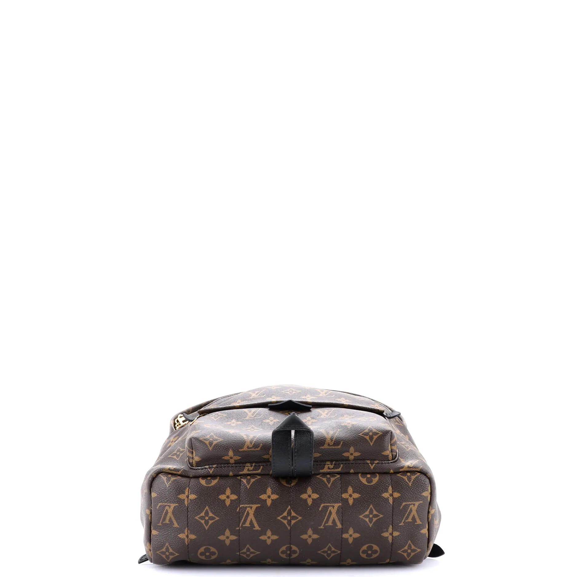 Palm Springs Backpack Monogram Canvas MM