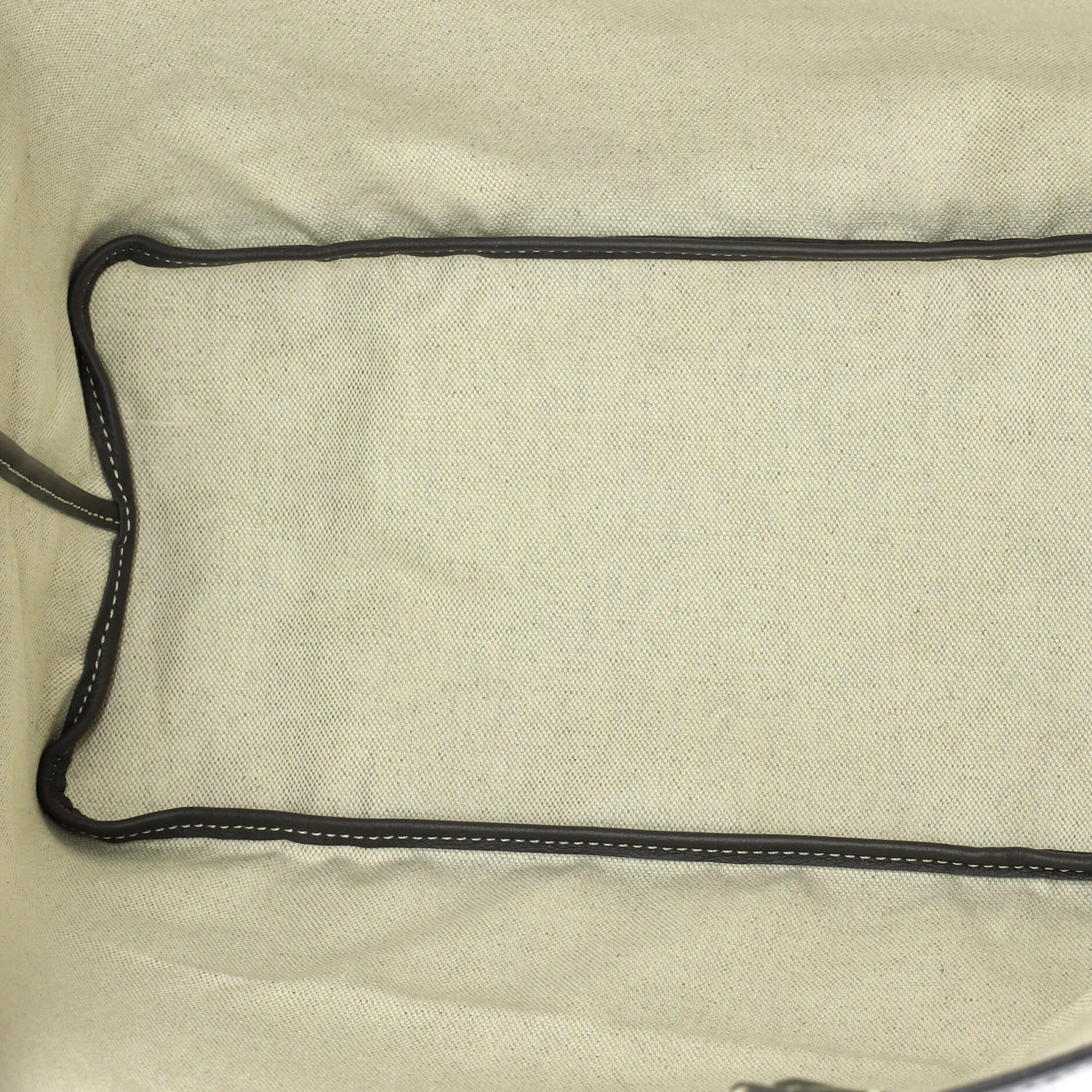 Saint Louis Tote Coated Canvas PM