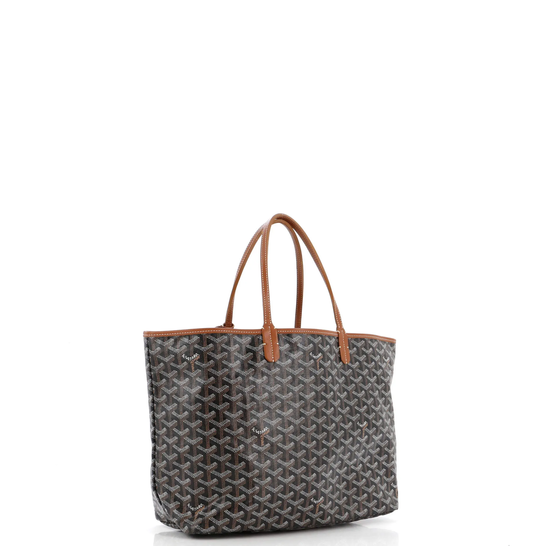 Saint Louis Tote Coated Canvas PM
