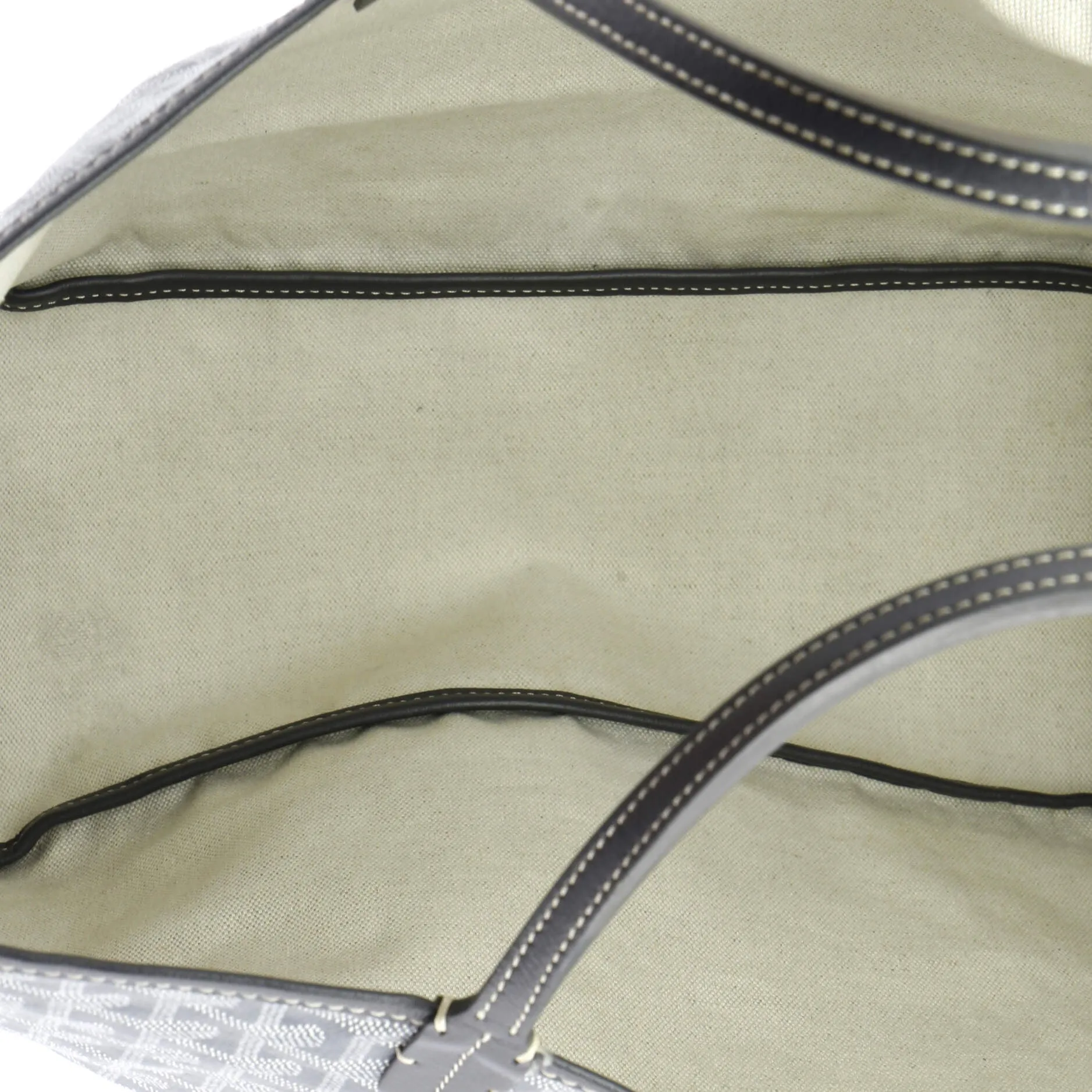 Saint Louis Tote Coated Canvas PM