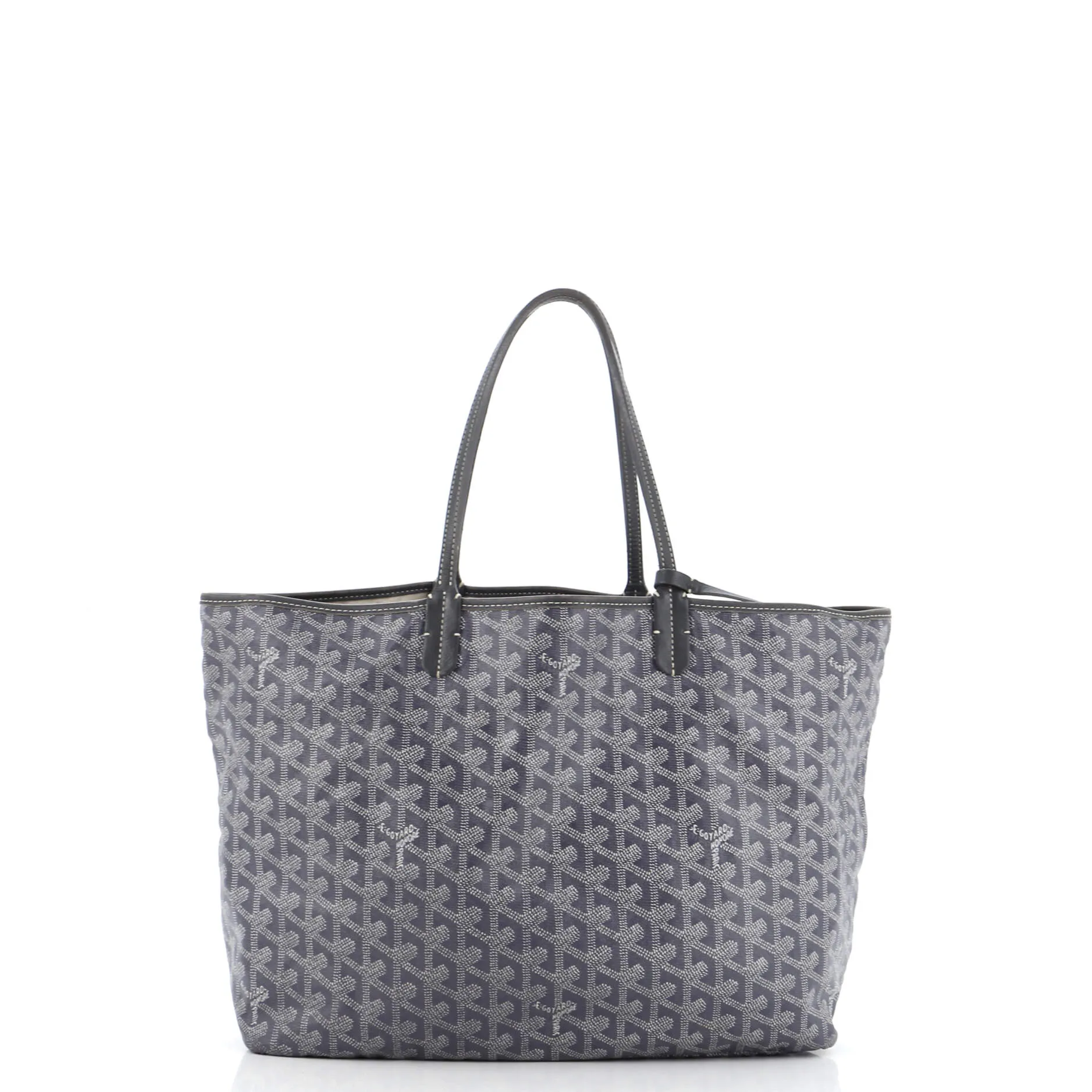 Saint Louis Tote Coated Canvas PM