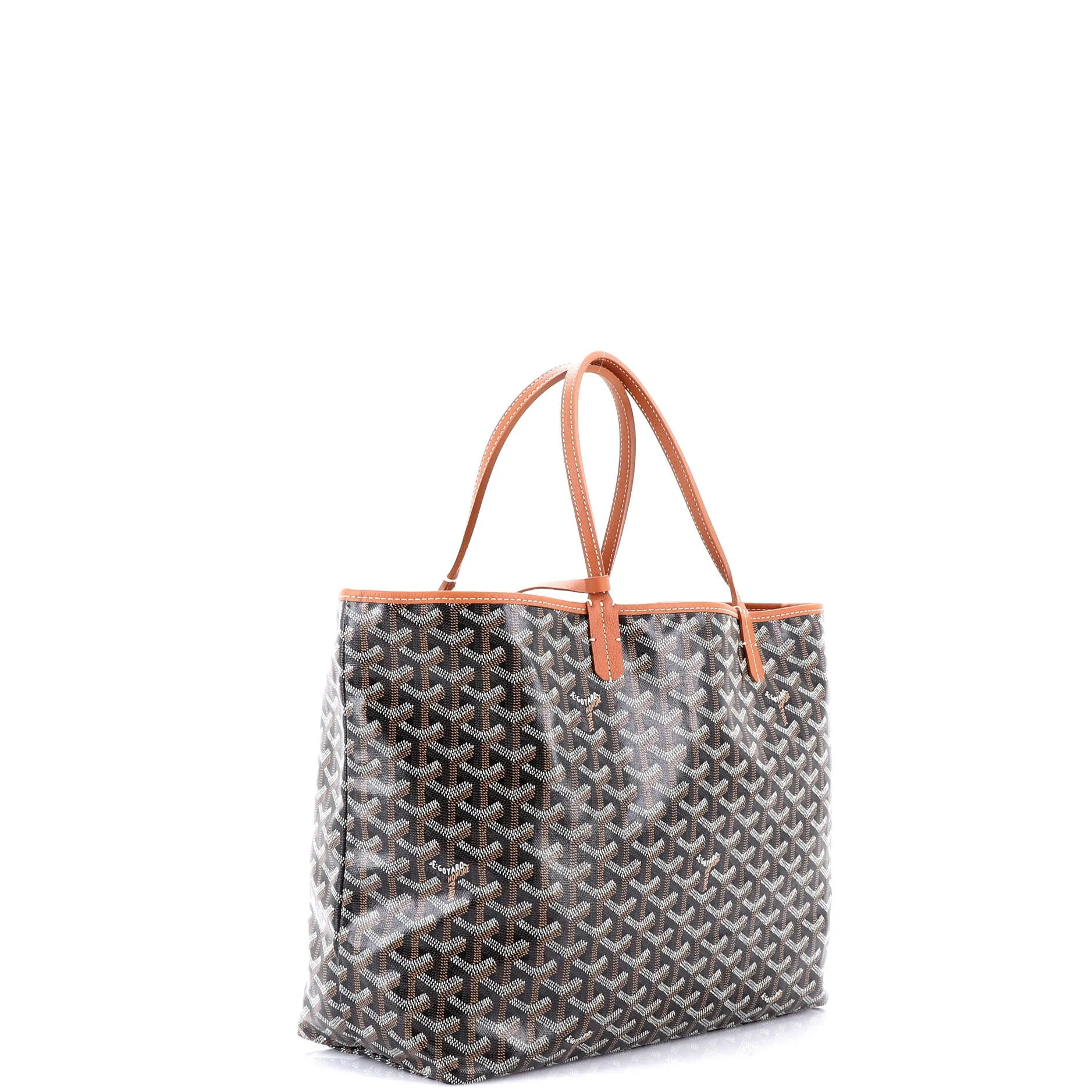 Saint Louis Tote Coated Canvas PM