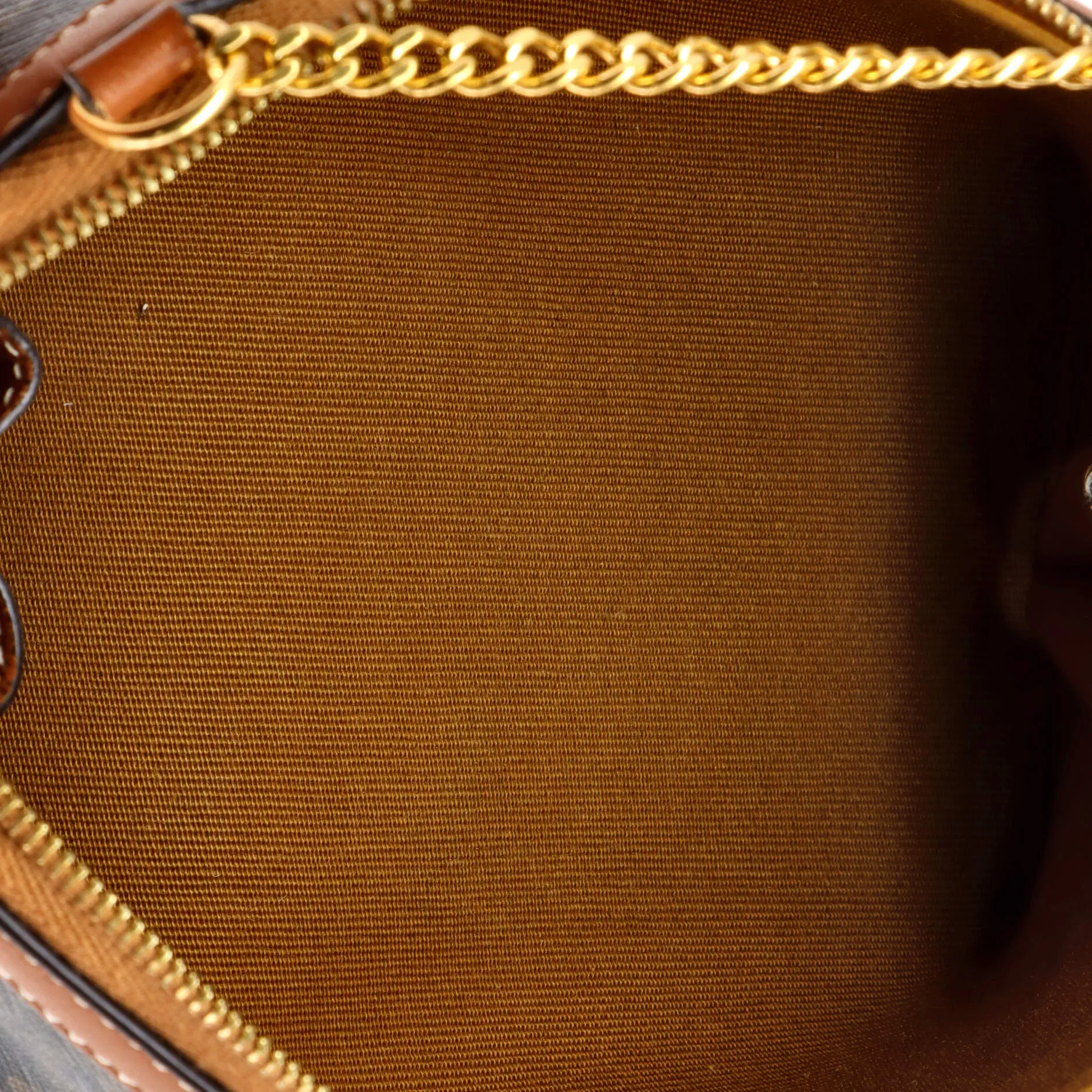 Zip Around Chain Clutch Embroidered Triomphe Coated Canvas